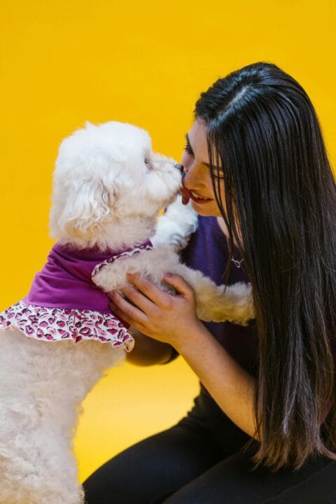 cute white dog licking face of a woman with dark hair